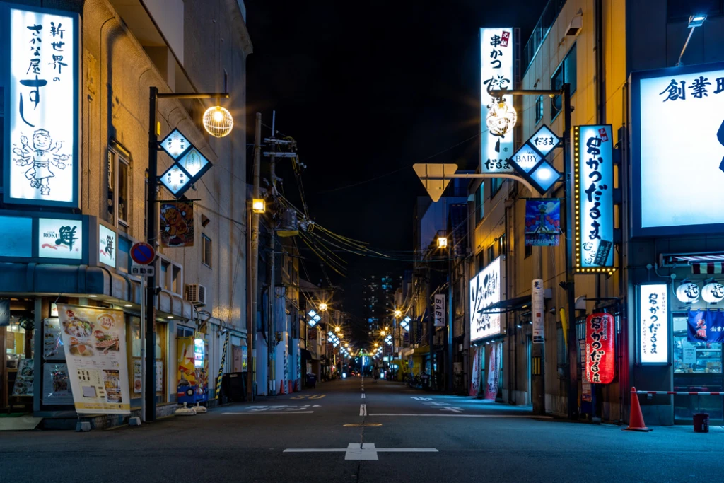 Stora Japanturnén med All Nippon Airways utan visum / 6 nätters hotellboende / Avresa från Istanbul