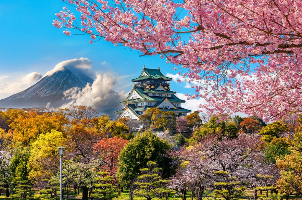 کشور خورشید در حال برآمدن تور ژاپن با THY شامل تورهای اضافه بدون ویزا / اقامت 6 شب در هتل / پرواز از استانبول به توکیو