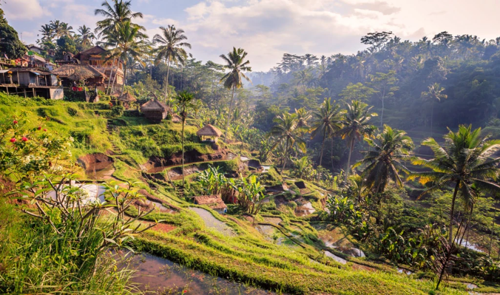 "Bali and Ubud Tour with Emirates Airlines / 6 Nights Hotel Accommodation / Departing from Istanbul"