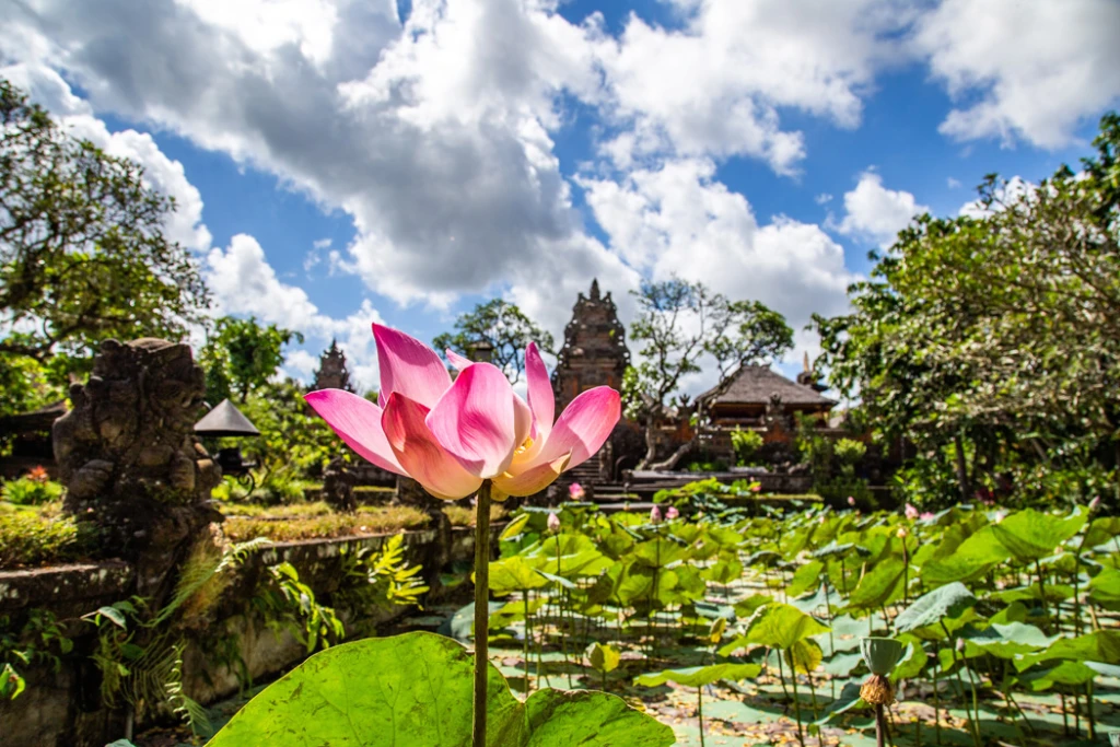 "Bali and Ubud Tour with Emirates Airlines / 6 Nights Hotel Accommodation / Departing from Istanbul"