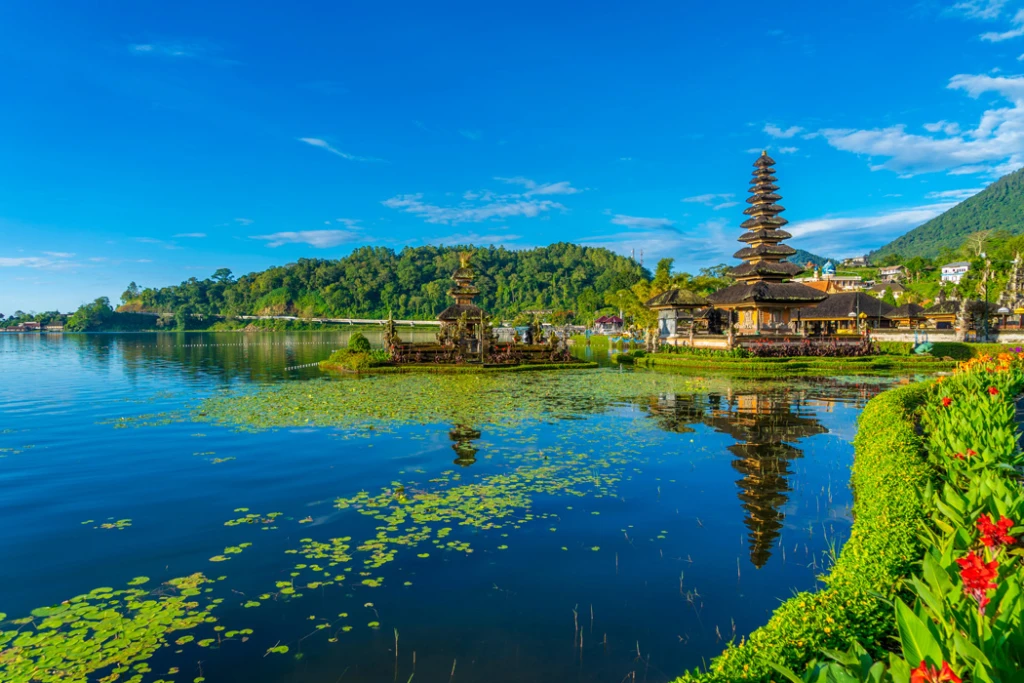 تور دوره بالی اوبود با پرواز THY / اقامت 6 شب در هتل / شروع از استانبول / پرواز به بالی