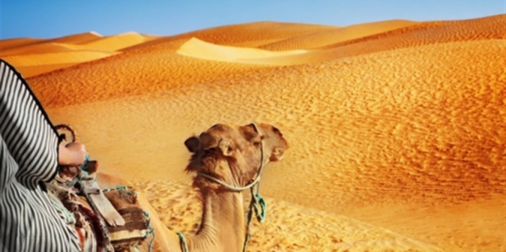 Elegant Tunus THY med extra turer inkluderat visumfritt / 3 nätter hotellboende / avgång från Istanbul