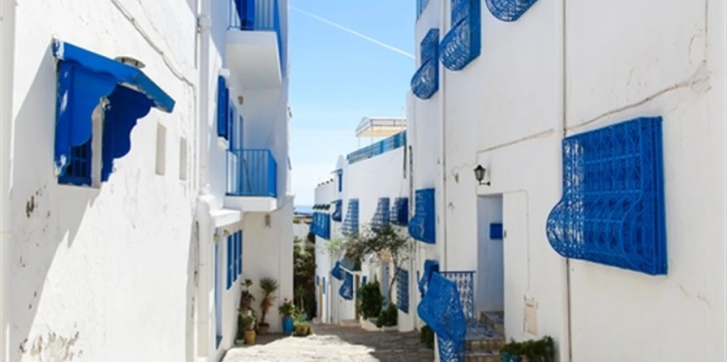 Storslaget Tunis och Antika Städer Tur med THY utan visum / 3 Nätter Hotellövernattning / Avgång från Istanbul