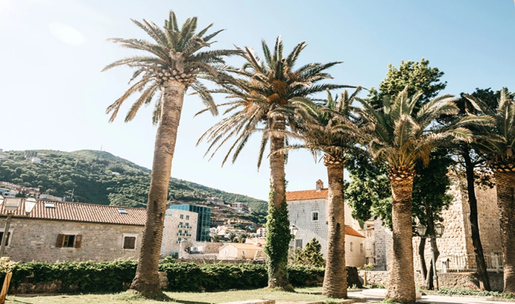 Budva-drömmen tur med Air Montenegro utan visum / 4 nätters hotellboende / Avresa från Istanbul / Flyg till Podgorica