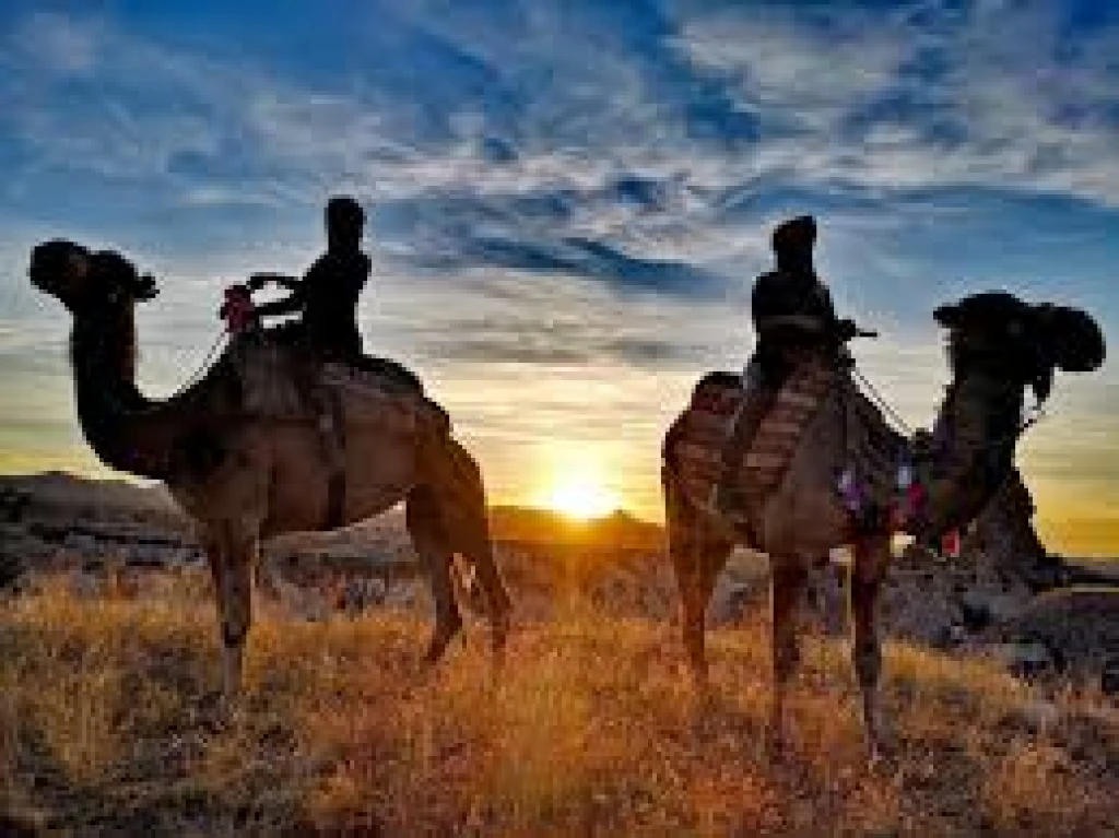 Safari en camello en Capadocia