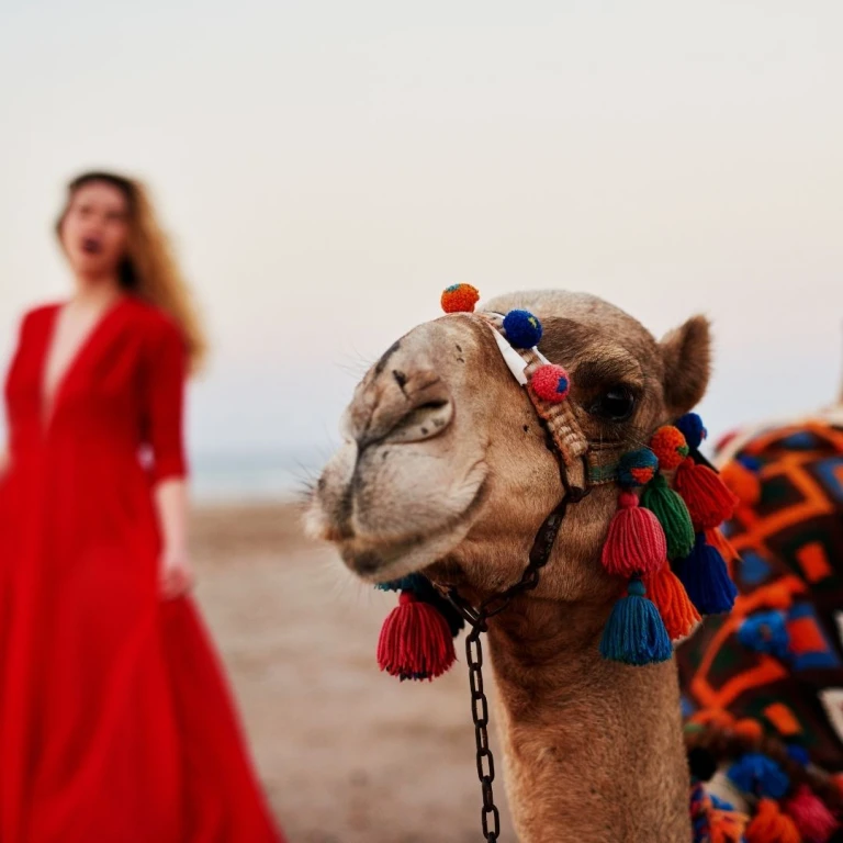 Safari en camello en Capadocia