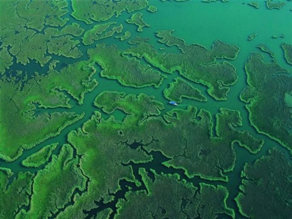 Dalyan-Caunos/Dalyan,Mud bath,King Tombs