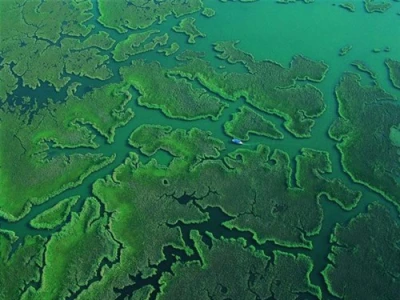 Dalyan-Caunos/Dalyan,Mud bath,King Tombs