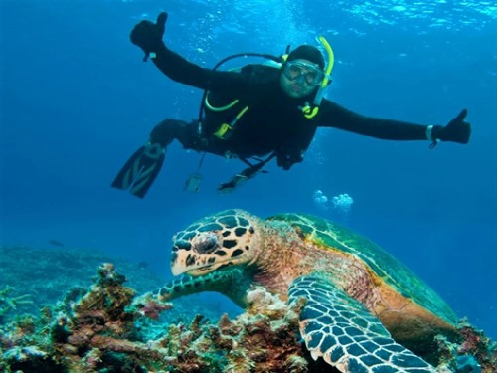 Diving & Adventure and fun