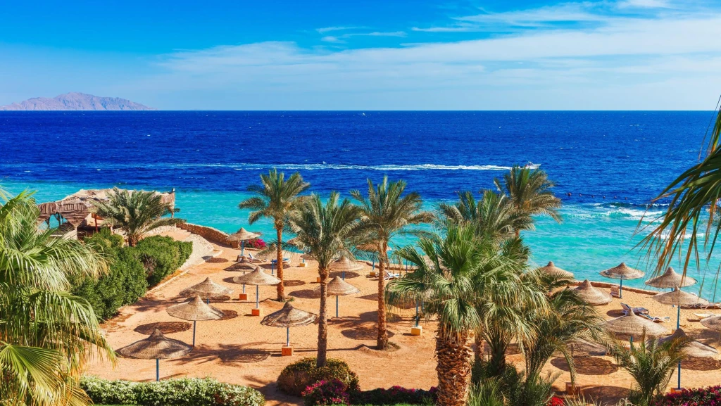 PROMOȚII MEGA TUR CU MYSTER MEXICAN DE LA UN CAP LA ALTUL