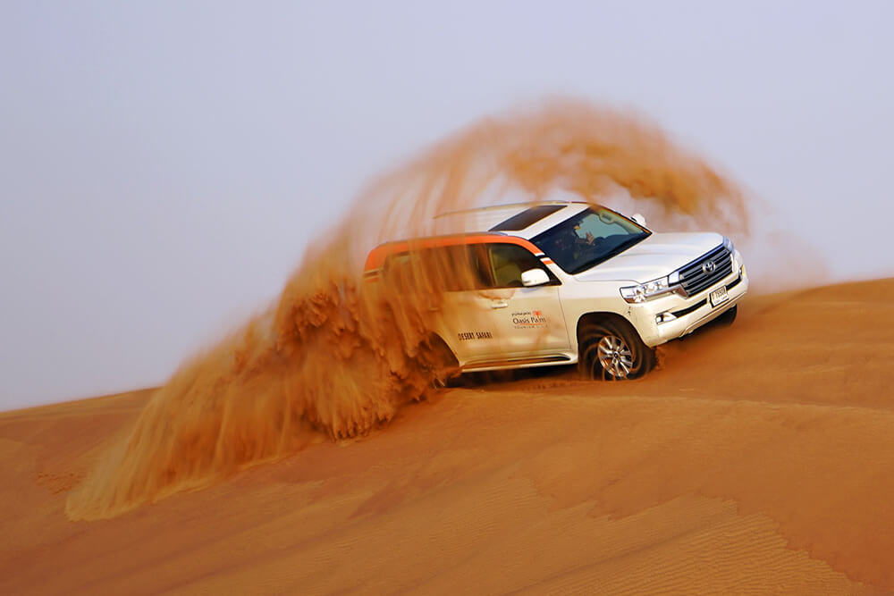 Morning Desert Safari and ATV Tour