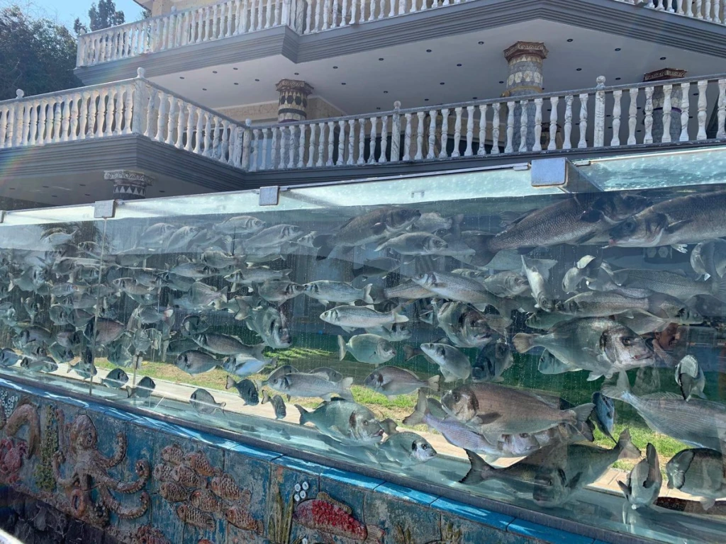 ΤΟΥΡ ΝΤΕ ÇEŞME – ALAÇATI