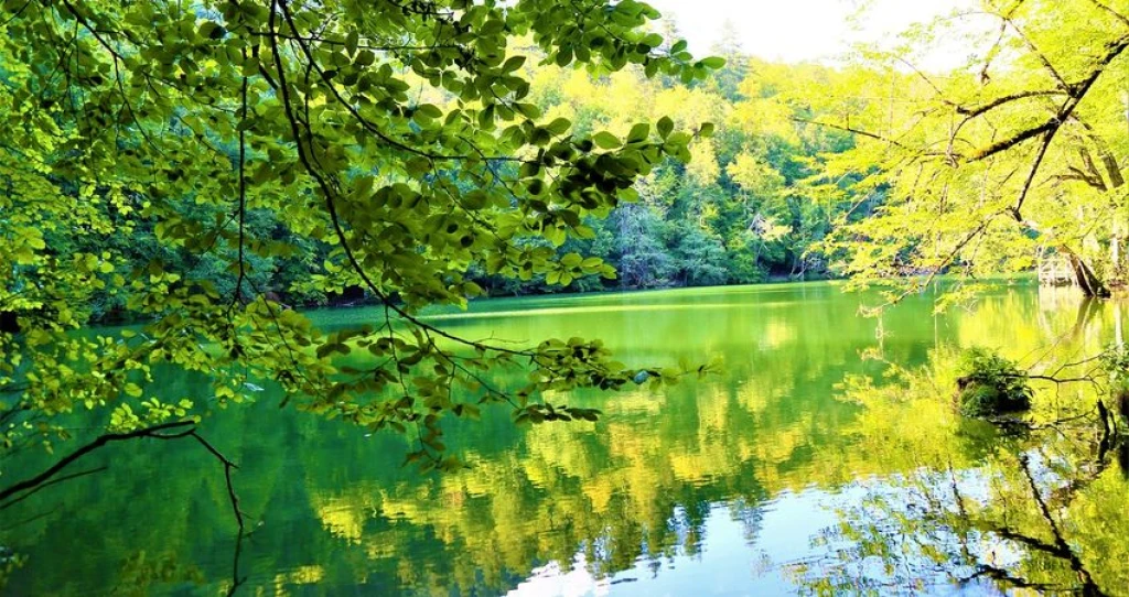 Тур по западному Черноморью: Шиле и Ağva