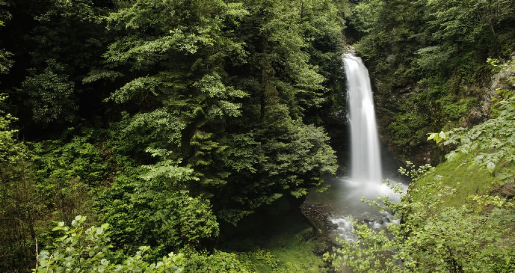 تور مناطق ویژه کارادنیز و باتوم