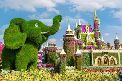 Miracle Garden