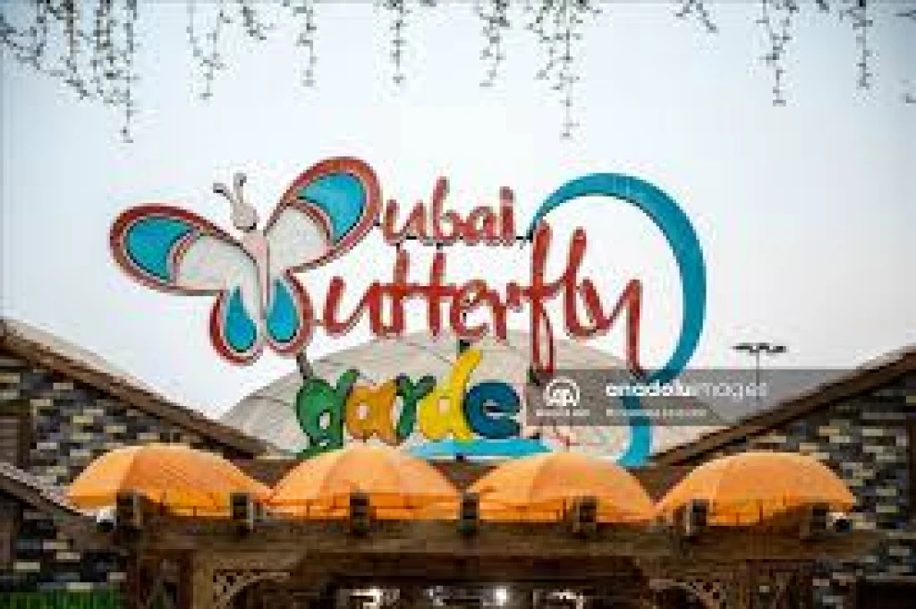 Dubai Kelebek Bahçesi