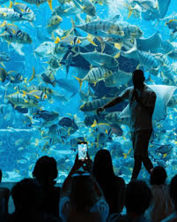 Atlantis Aquaventure+ Aquarium Day Pass