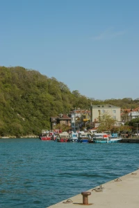 Частна екскурзия до Силе и Аджва от Истанбул