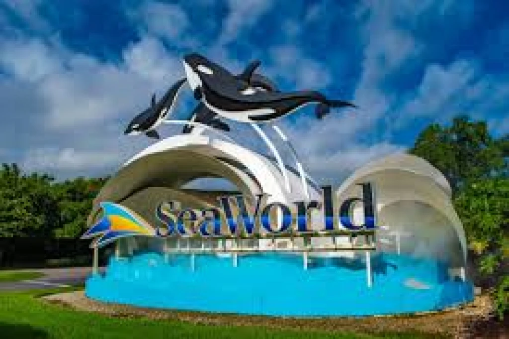 SeaWorld Abu Dhabi – Ultimatives Entdecker-Paket 2