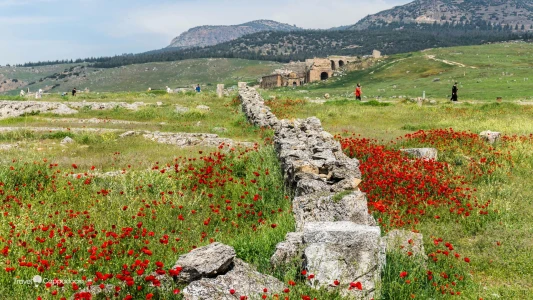 Tour de Pamukkale, Éfeso y Capadocia - Paquete de 3 Noches y 4 Días en Turquía