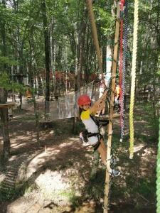 FOREST KEMERBURGAZ