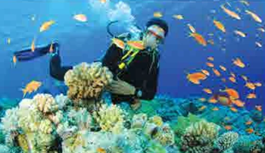 Diving into the depths of the mediterrenian sea