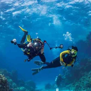 Diving into the depths of the mediterrenian sea