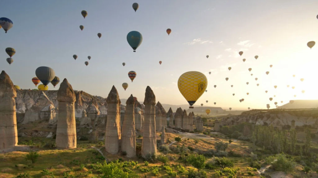 Yeşil Tur - Test