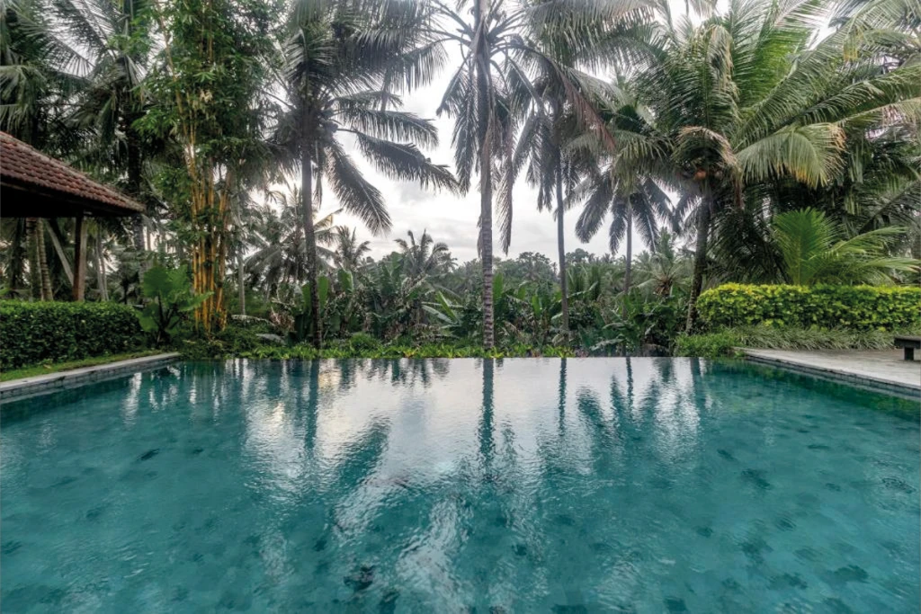 Pertiwi Bisma 2 Ubud
