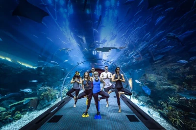Dubai Aquarium and Underwater Zoo | Entry Ticket