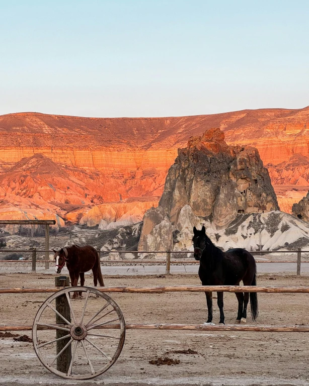 Тур їзди на конях на світанку та заході сонця через долини Каппадокії