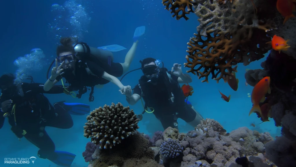 Scuba Diving in Oludeniz Fethiye