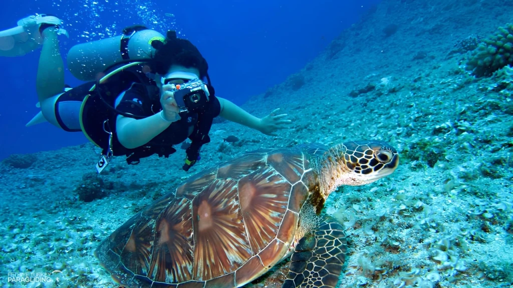 Scuba Diving in Oludeniz Fethiye