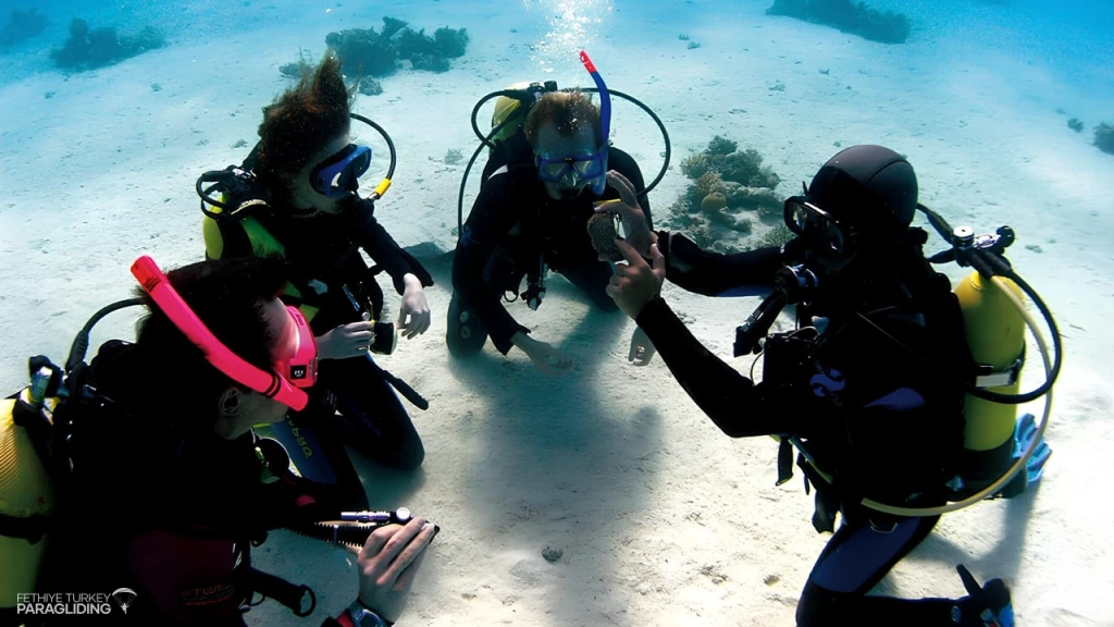 Scuba Diving in Oludeniz Fethiye