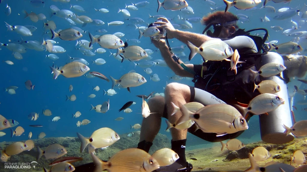 Scuba Diving in Oludeniz Fethiye