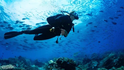 Scuba Diving in Oludeniz Fethiye