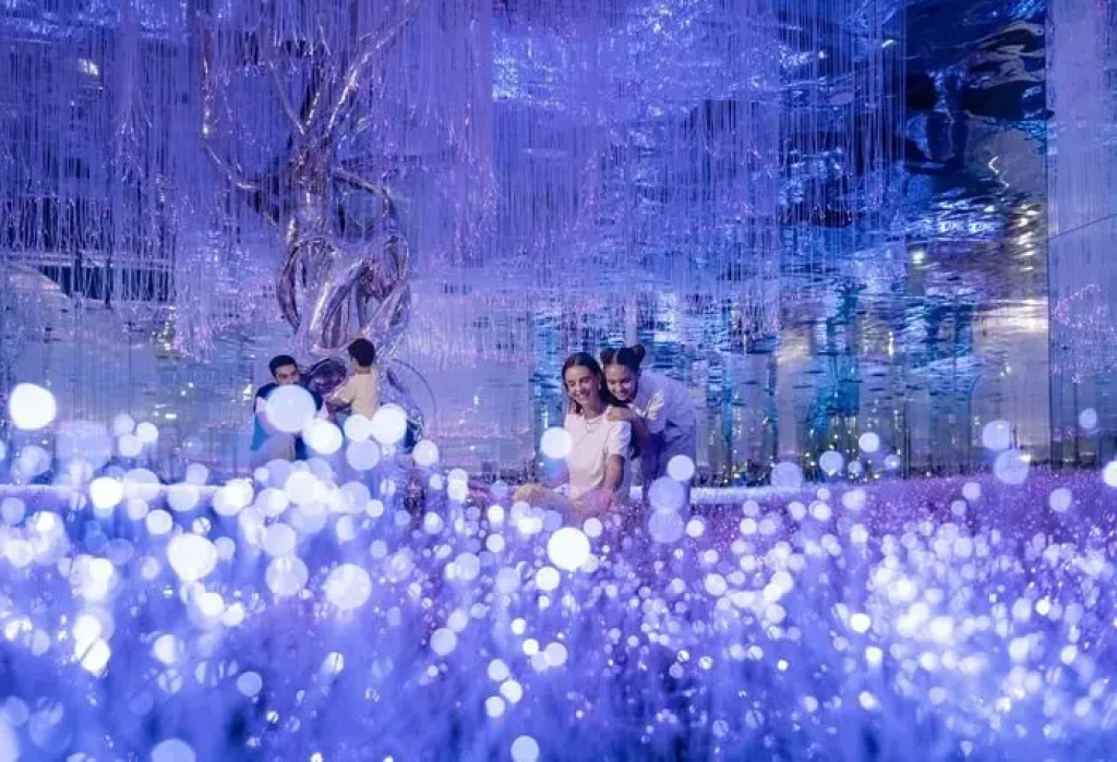 आया यूनिवर्सिटी एंट्री टिकट