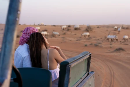 Zonsopgang in Dubai Ballonvaart met Valkenshow & Vintage Woestijnsafari