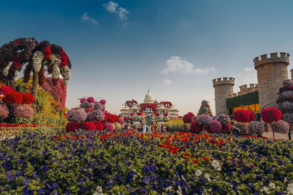'Dubai Miracle Garden: A Journey into the Magical World of Flowers'