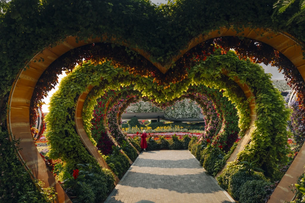 'Dubai Miracle Garden: A Journey into the Magical World of Flowers'