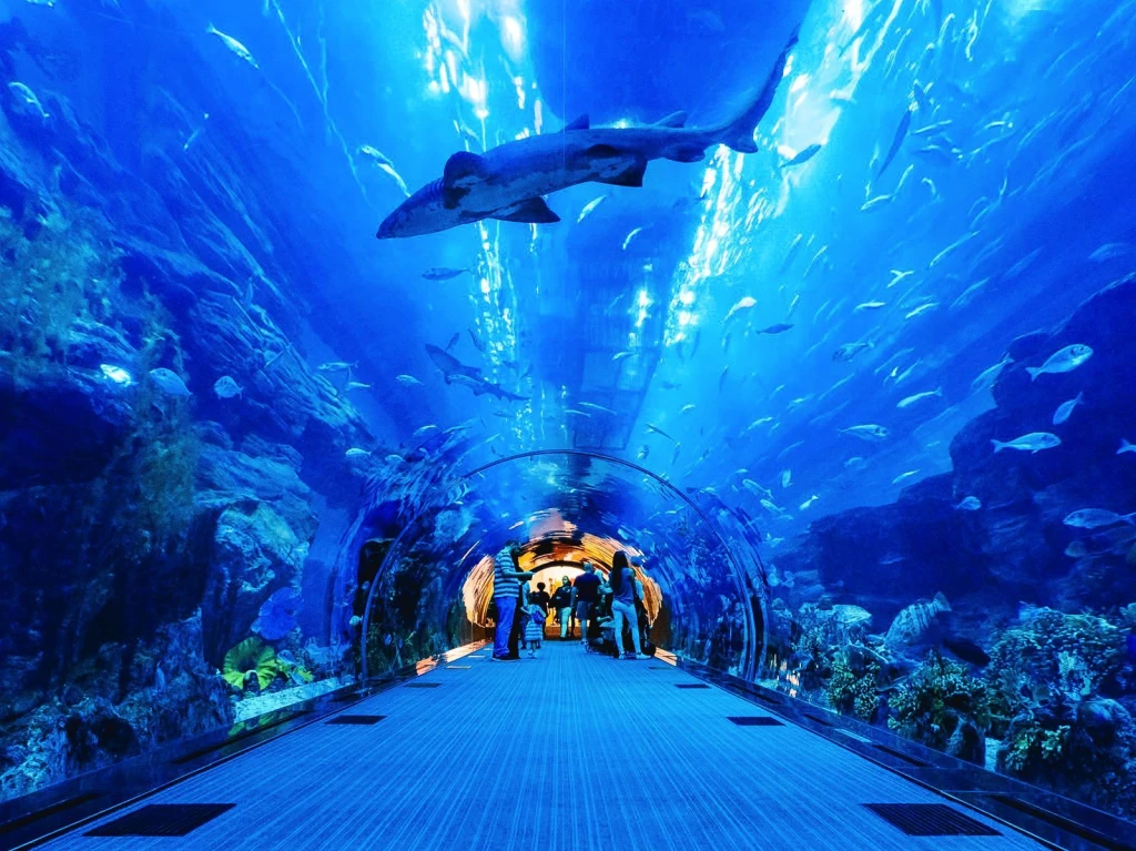 Dubai Akvaryum