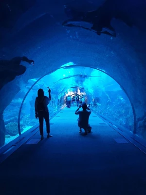 Aquarium de Dubaï