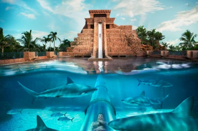 Aquaventure Waterpark