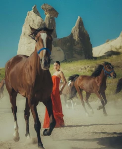 Horse Ranch Photoshoot