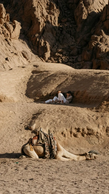 Zusätzliche Touren inklusive Sharm El Sheikh (Direktflug von Izmir)