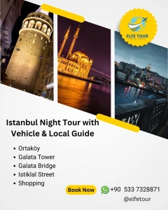 Lawatan Kumpulan Malam Istanbul dengan Kenderaan & Pemandu Tempatan