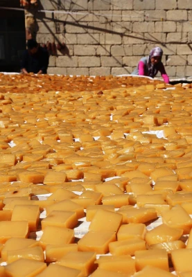 "Мученицька подорож анатолійського желе"