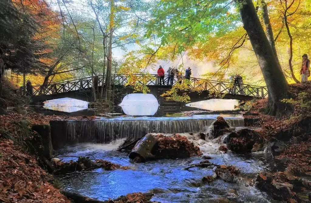 Yedigöller Turu Günübirlik