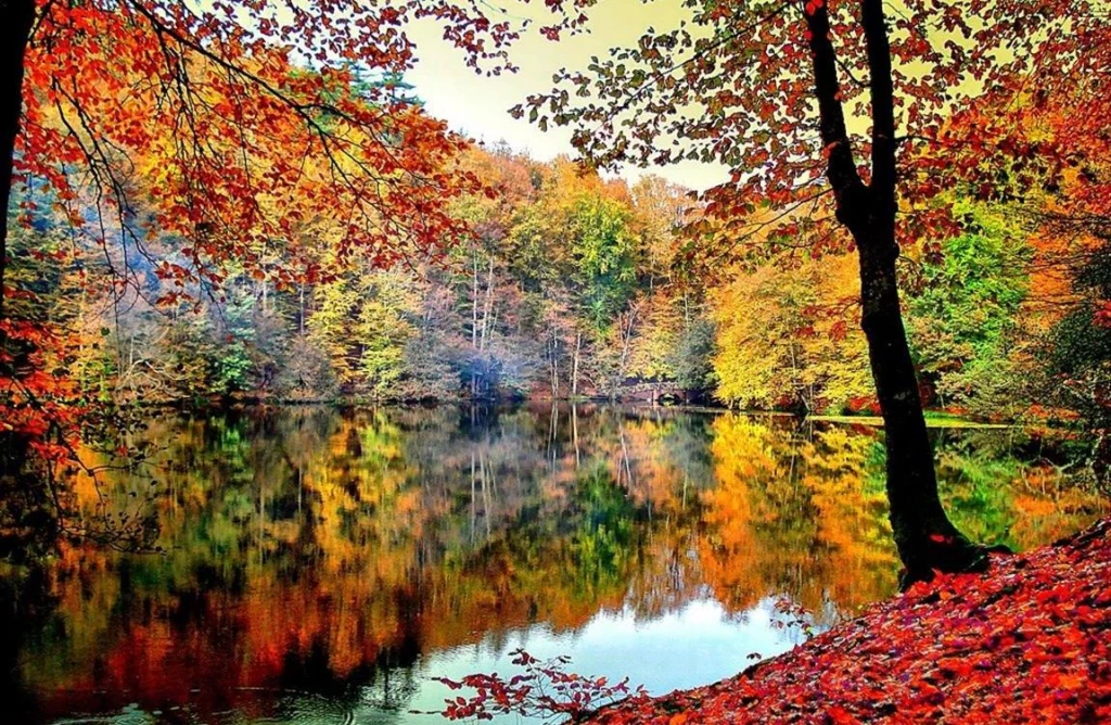 Yedigöller Turu Günübirlik