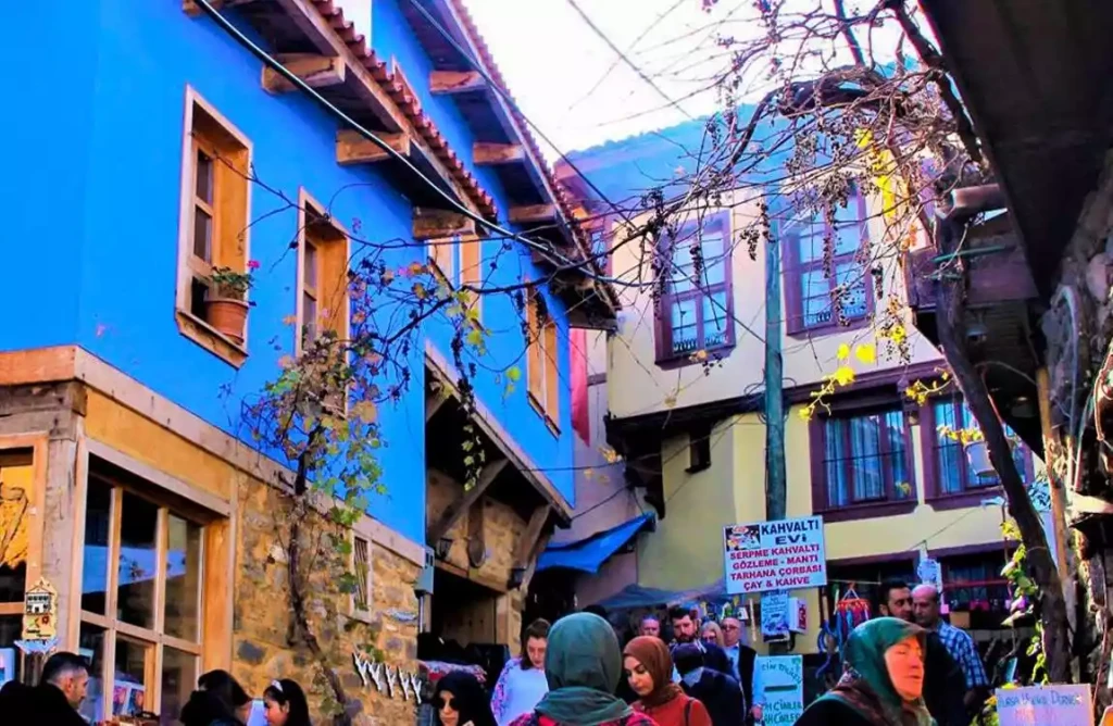 Bursa Cumalıkızık  Mudanya Gölyazı Turu